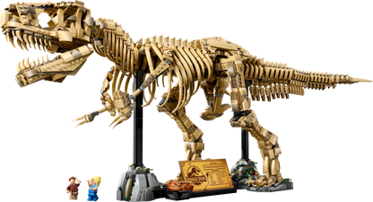 T-Rex Dinosaur Skeleton Fossil - 76968