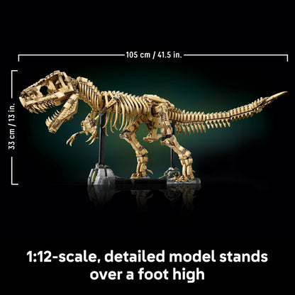 T-Rex Dinosaur Skeleton Fossil - 76968