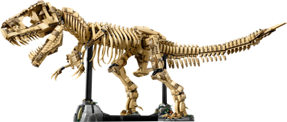 T-Rex Dinosaur Skeleton Fossil - 76968