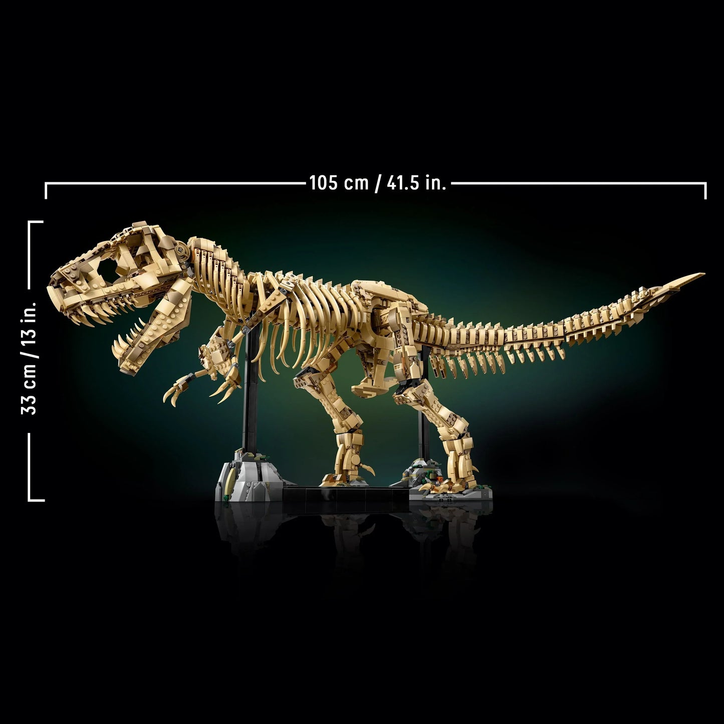 T-Rex Dinosaur Skeleton Fossil - 76968
